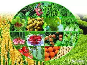 全面守护餐桌安全——解析全省农产品质量安全监管体系