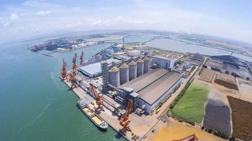 广东粮食安全新图景 六成自给筑牢基础，多元产品拓宽发展空间