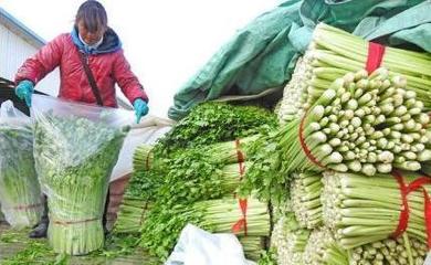 耕地缩减下的农产品过剩之谜 效率提升与需求变迁的双重变奏