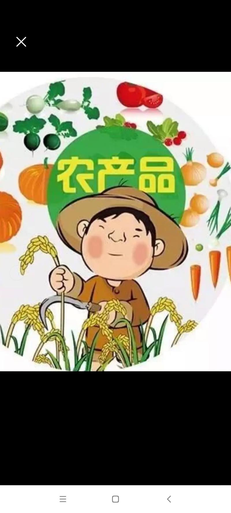 澄清农业相关核心概念 农产品与农副产品的五大关键区别