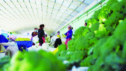 厚道甘肃，地道甘味——甘肃农产品的人文与品质之旅