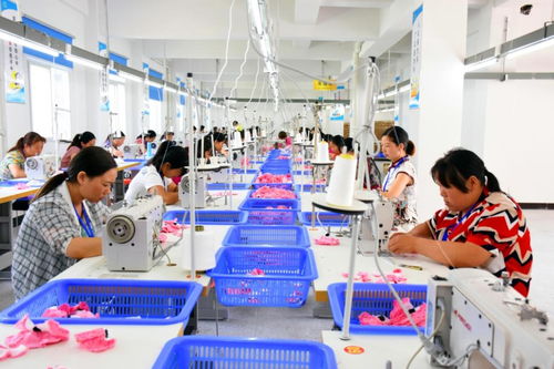 红旗漫卷过大关 安康脱贫摘帽回眸与农产品产业振兴